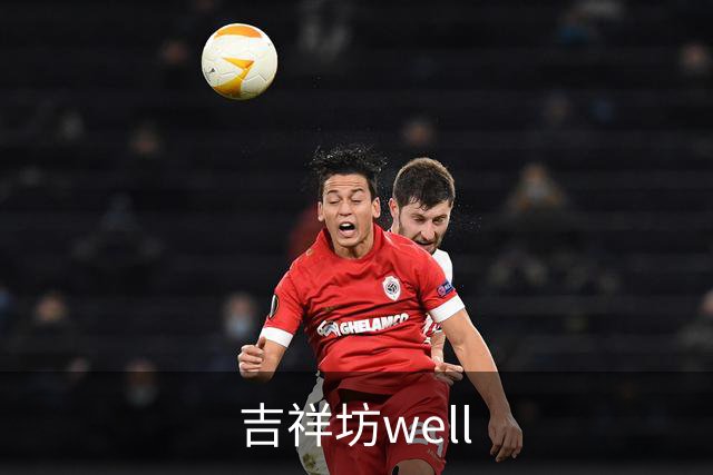 吉祥坊well公司简介图片